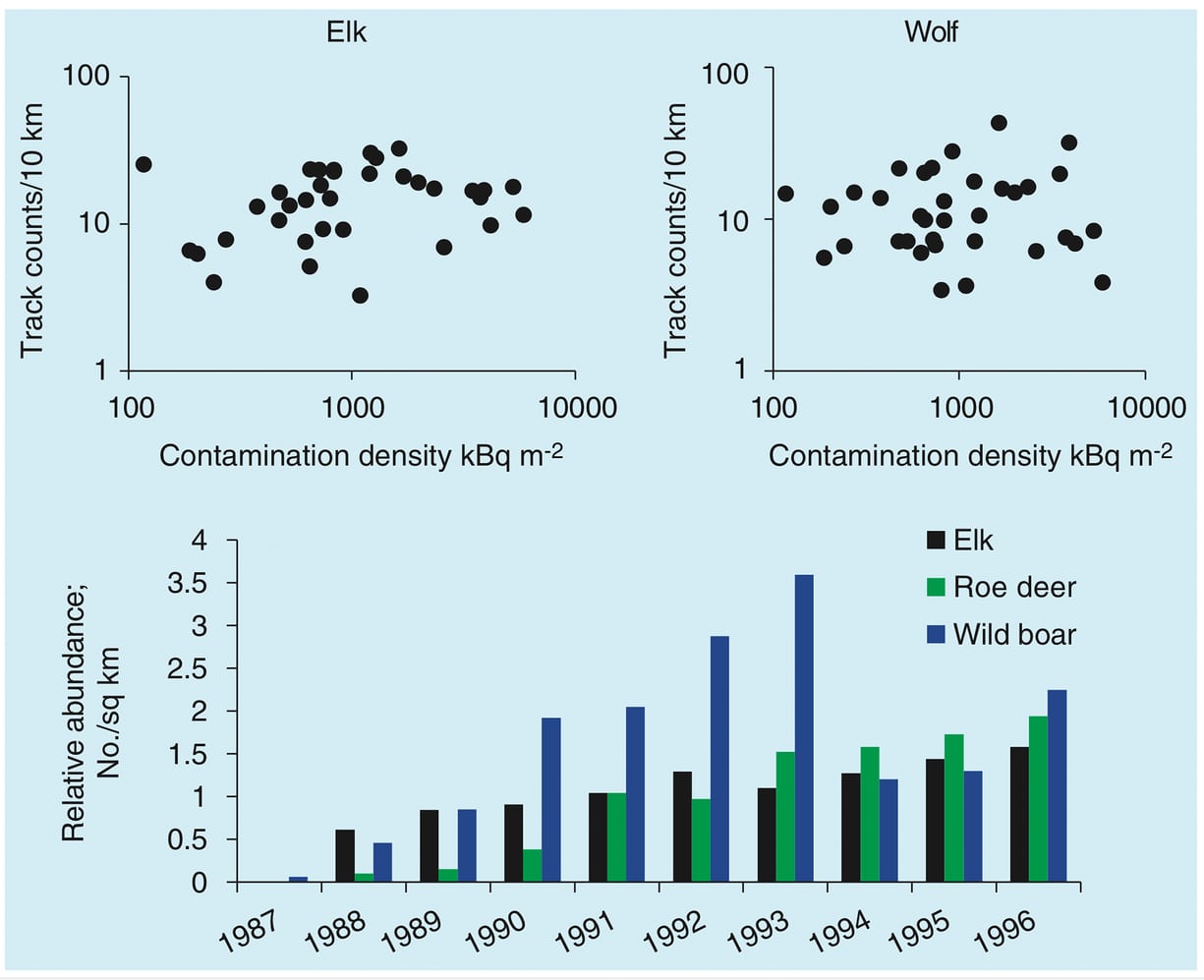 Animal abundances in the Chernobyl exclusion zone